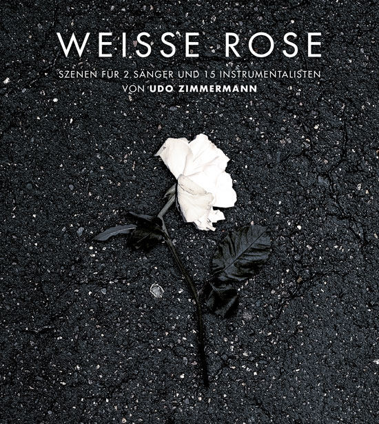 Weisse Rose